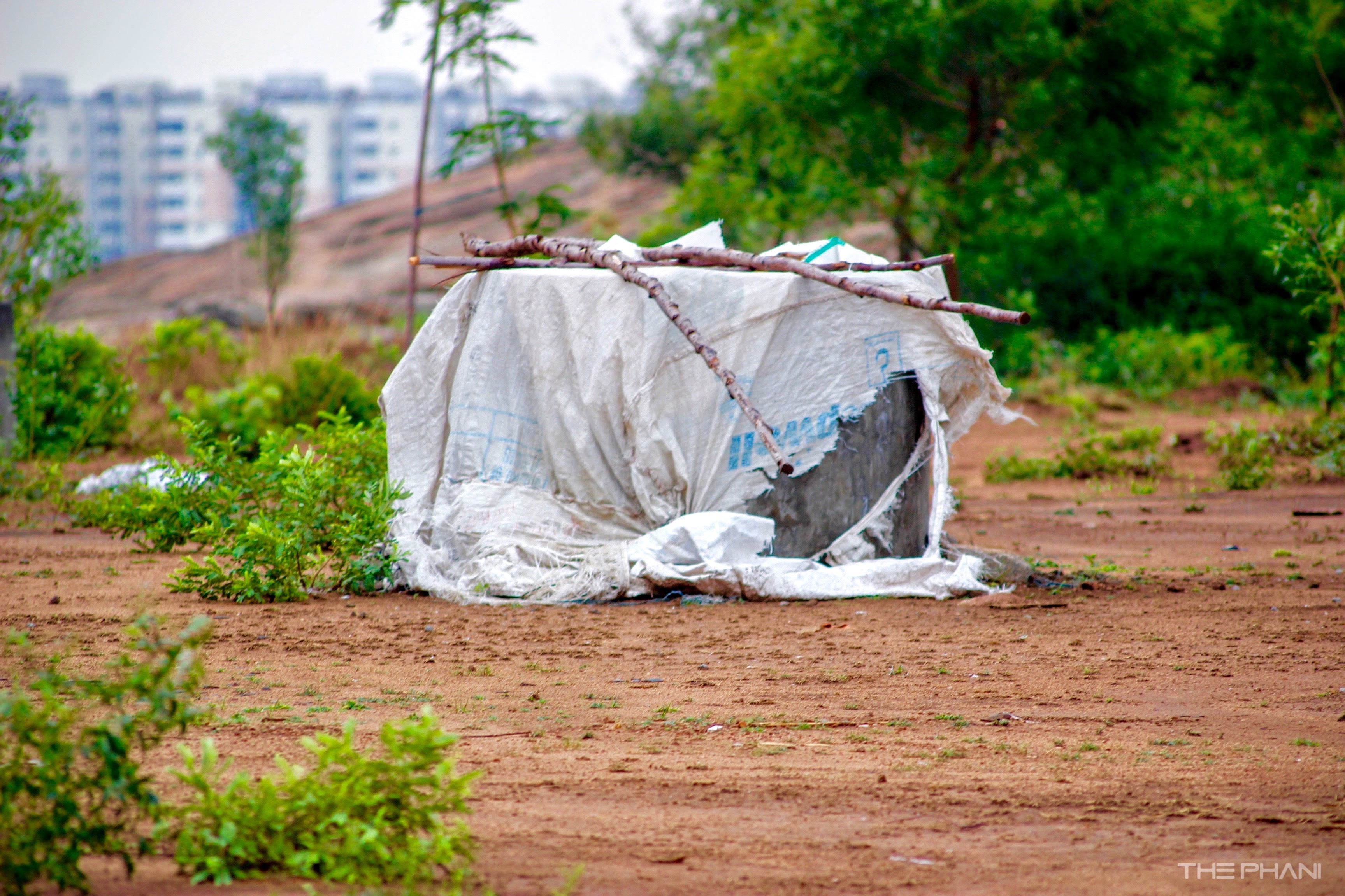 A Dummy Hut