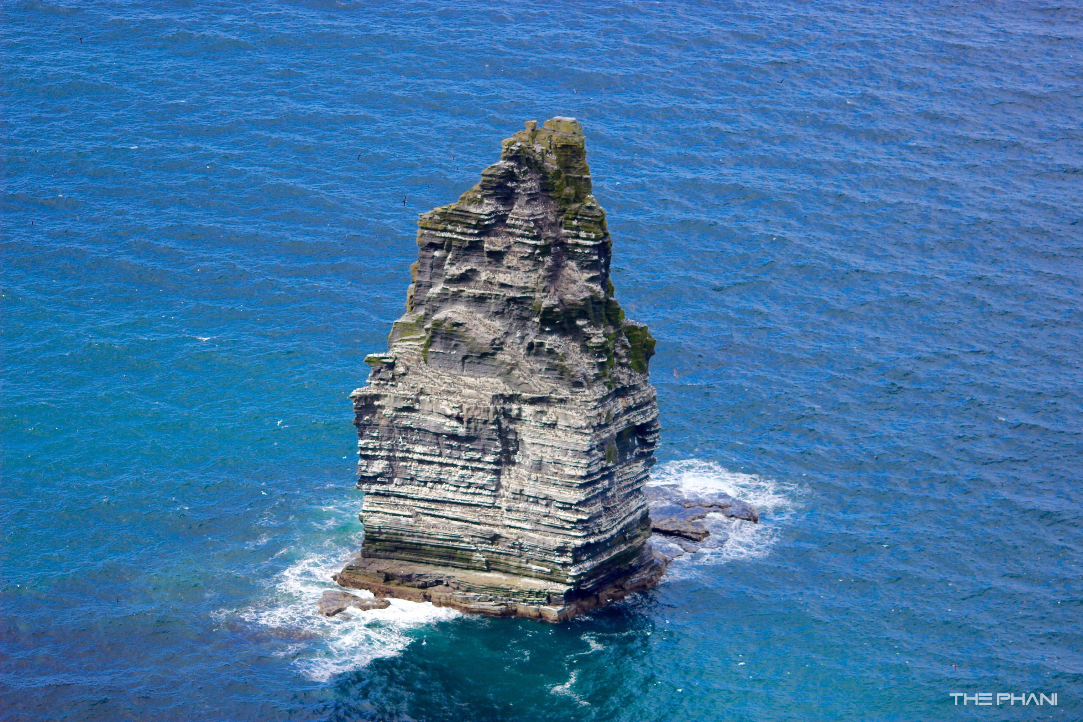 A Dummy Hut